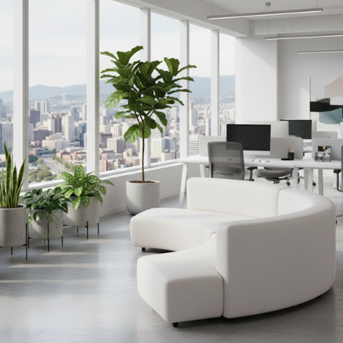 Aura Arc Sofa 5