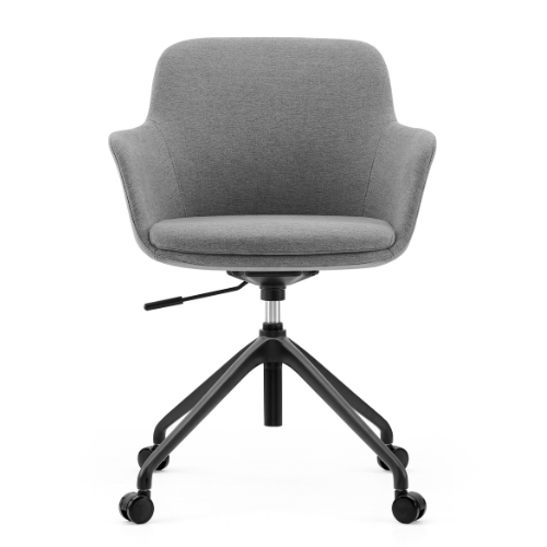 B13 Meeting Chair