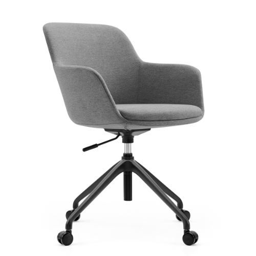 B13 Meeting Chair 1