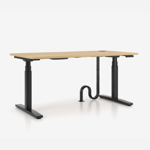 FlexRise Single Height Adjustable Desk 1