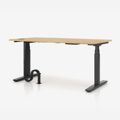 FlexRise Single Height Adjustable Desk 2
