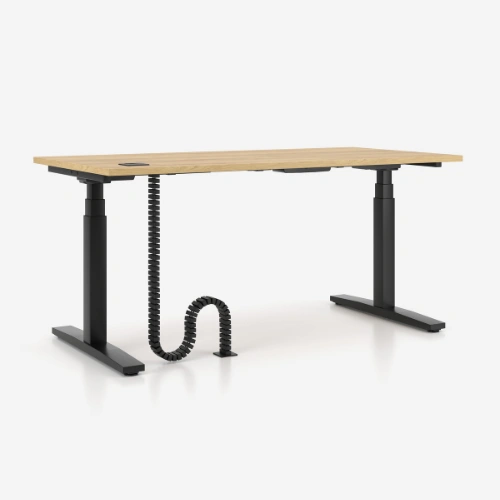 FlexRise Single Height Adjustable Desk 3