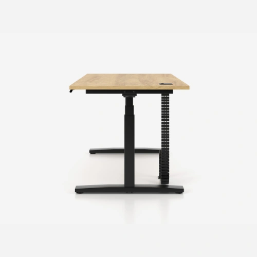 FlexRise Single Height Adjustable Desk 5