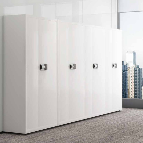 2 Door Locker with Smart Lock 3