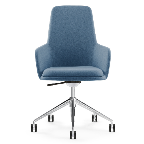 AVIA Meeting Chair