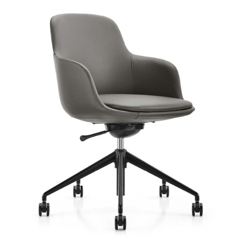 NOVA Meeting Chair 1