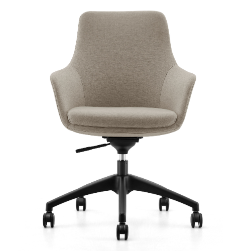 BAVO Meeting Chair-Beige