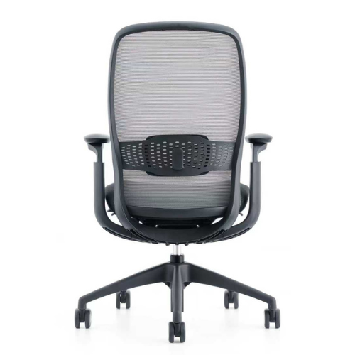 BENX Medium Back Chair with Lumbar Support - Black 4