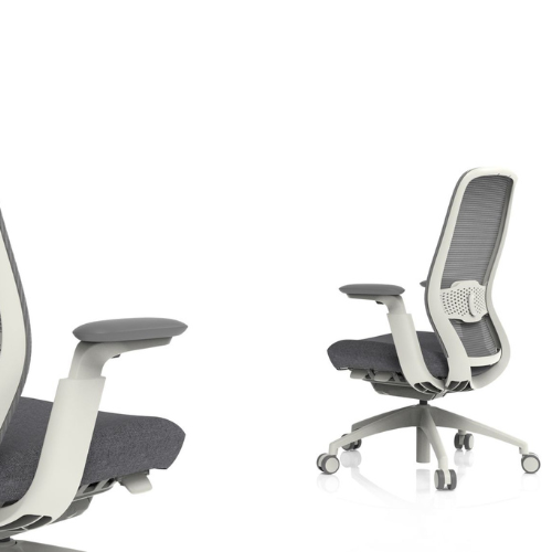 BENX Medium Back Chair with Lumbar Support 2