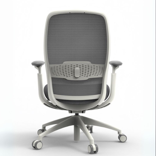 BENX Medium Back Chair with Lumbar Support 5