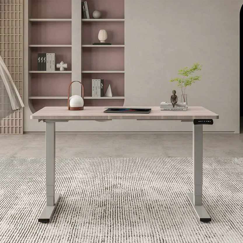 MotionRise Single Sit-Stand Desk 3
