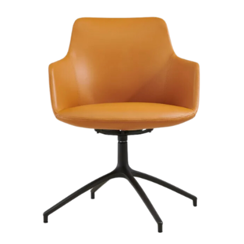 Sofia Visitor Chair with 4-Star Base