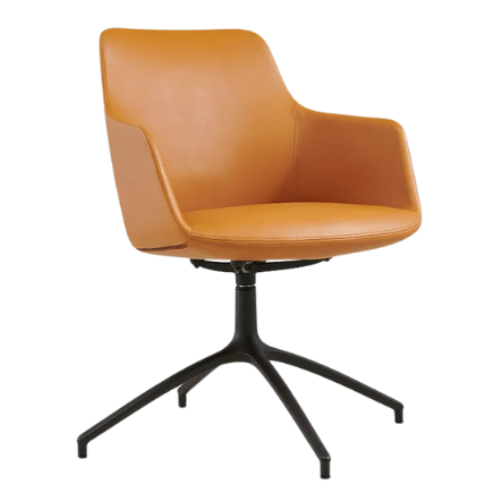 Sofia Visitor Chair with 4-Star Base 1