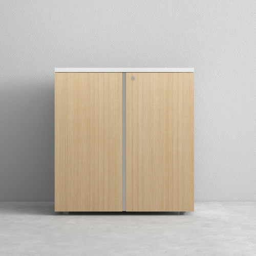 Office Cabinet Medium Height BS-2