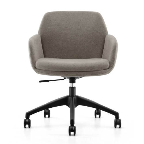 ZENO Meeting Chair