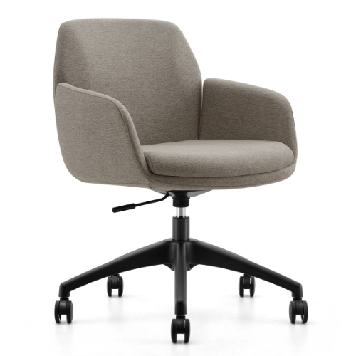 ZENO Meeting Chair 1