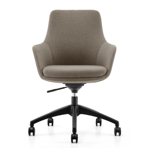 BAVO Meeting Chair-Grey