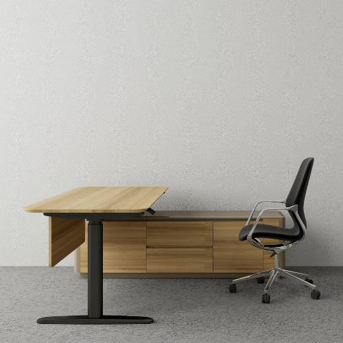 ErgoRise Manager Desk BS-3
