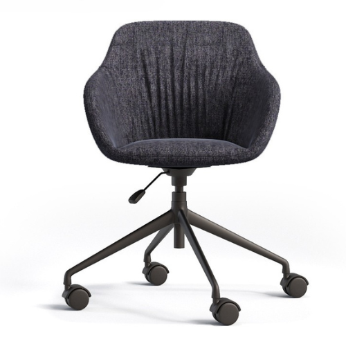 SAVO Meeting Chair