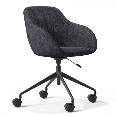 SAVO Meeting Chair 1
