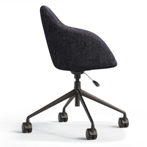 SAVO Meeting Chair 2