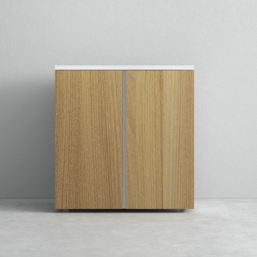 Office Cabinet Medium Height BS-4